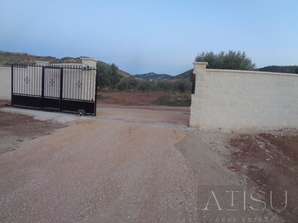 Venta de villa en Pinoso