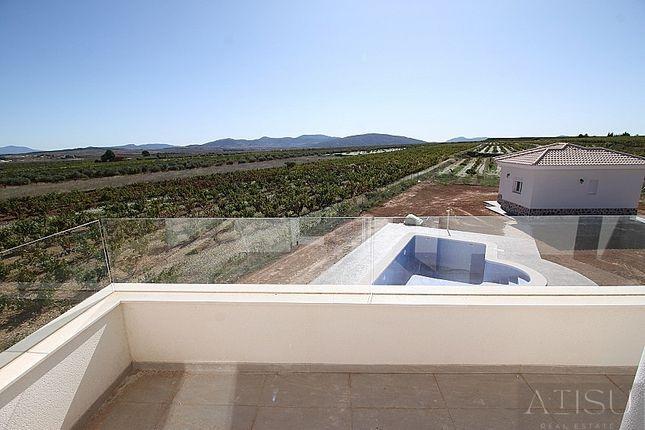 Venta de villa en Pinoso