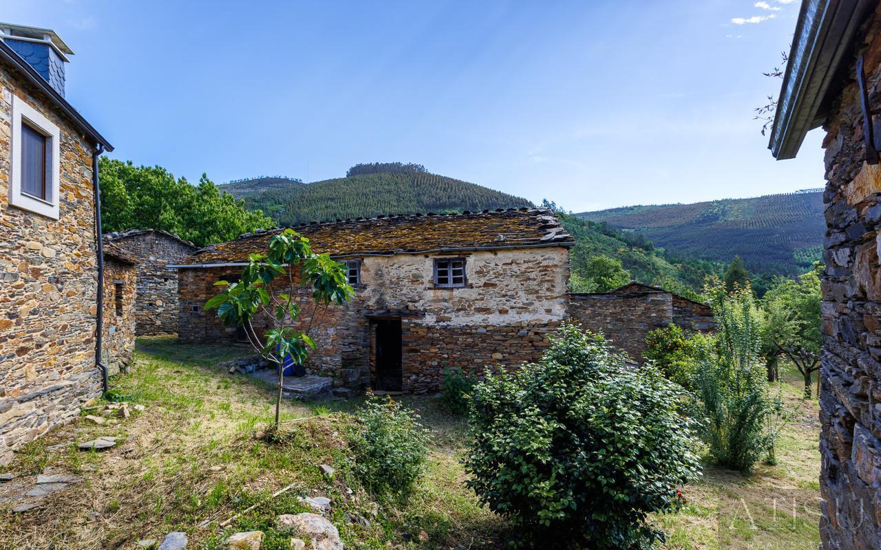 Venta de finca rústica en A Pontenova