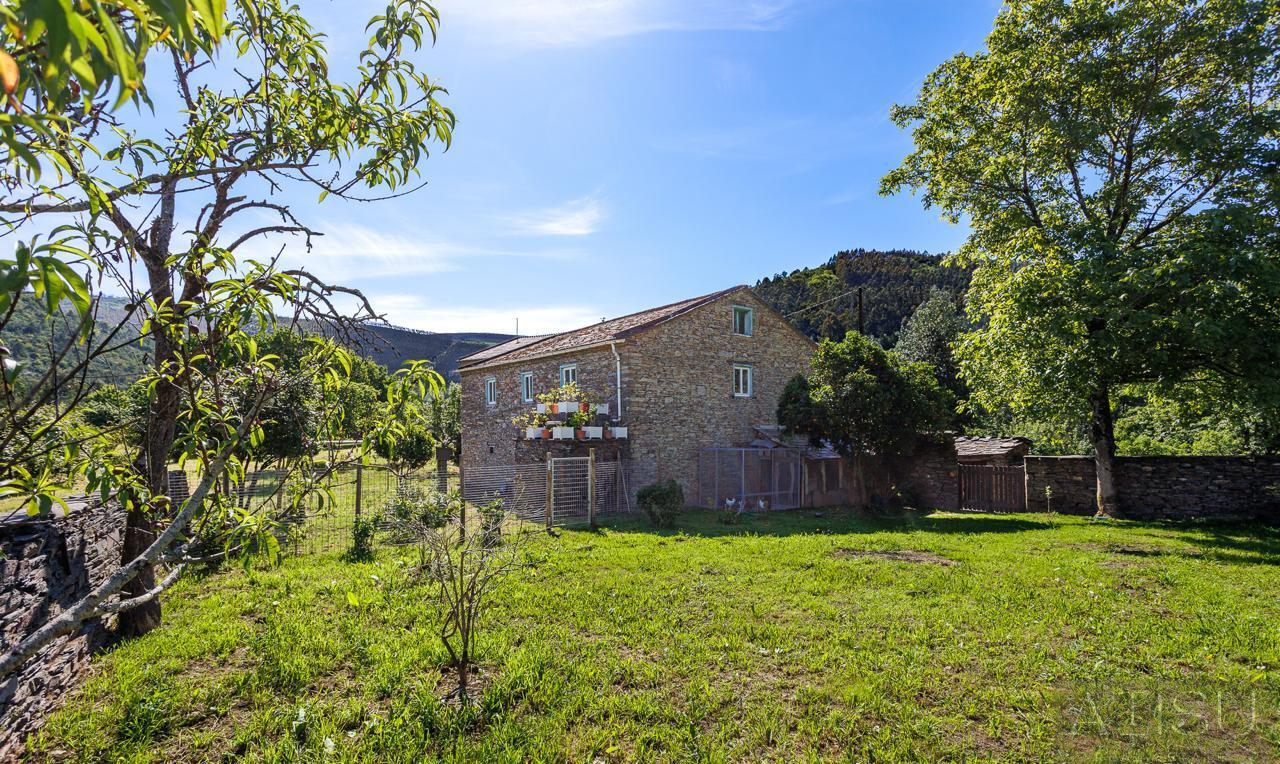 Venta de finca rústica en A Pontenova