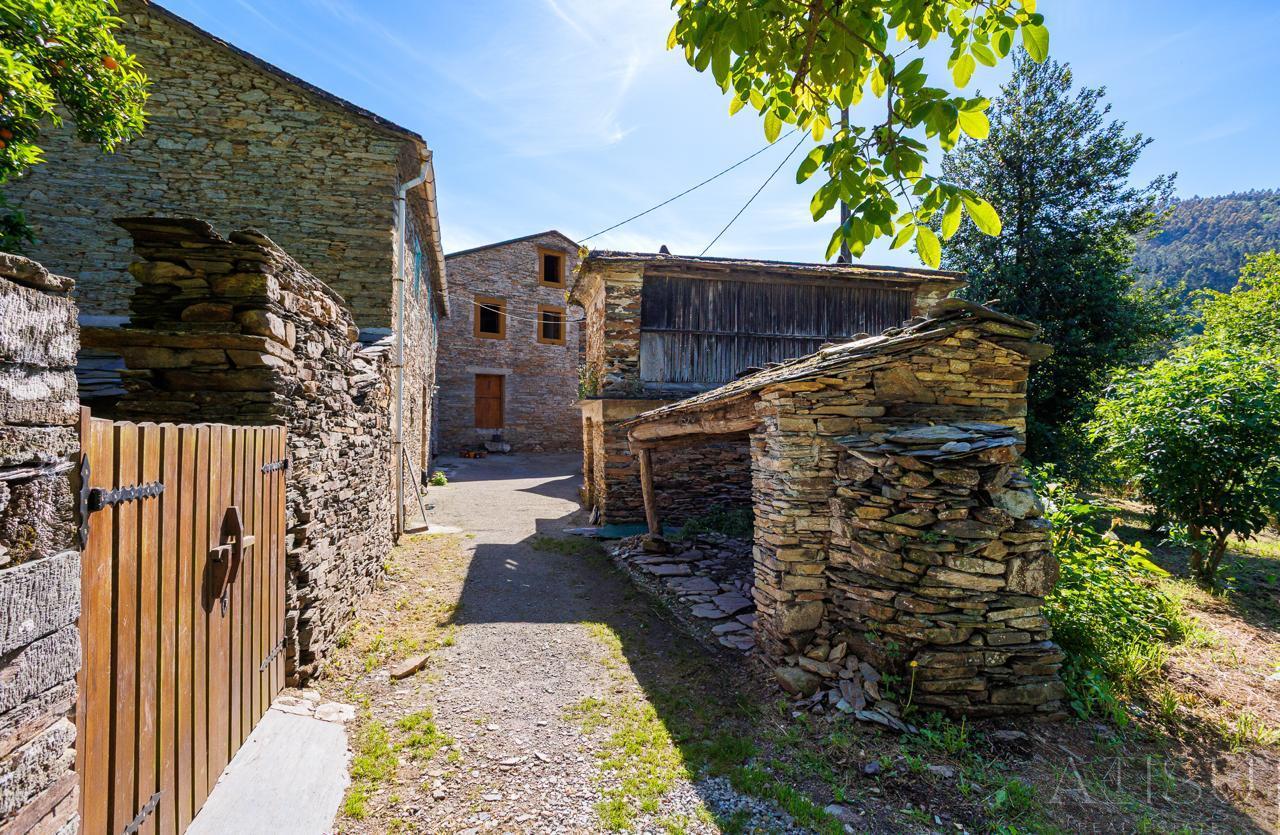 Venta de finca rústica en A Pontenova