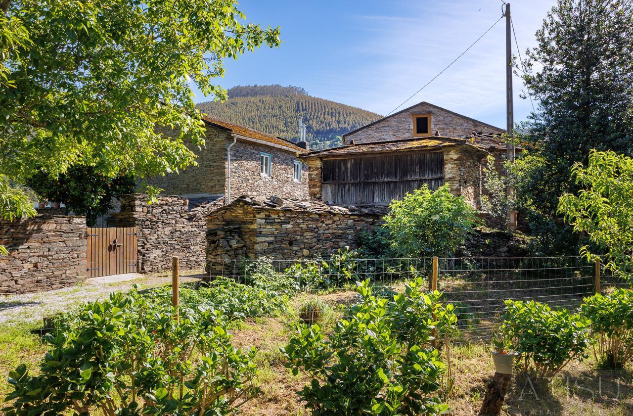 Venta de finca rústica en A Pontenova