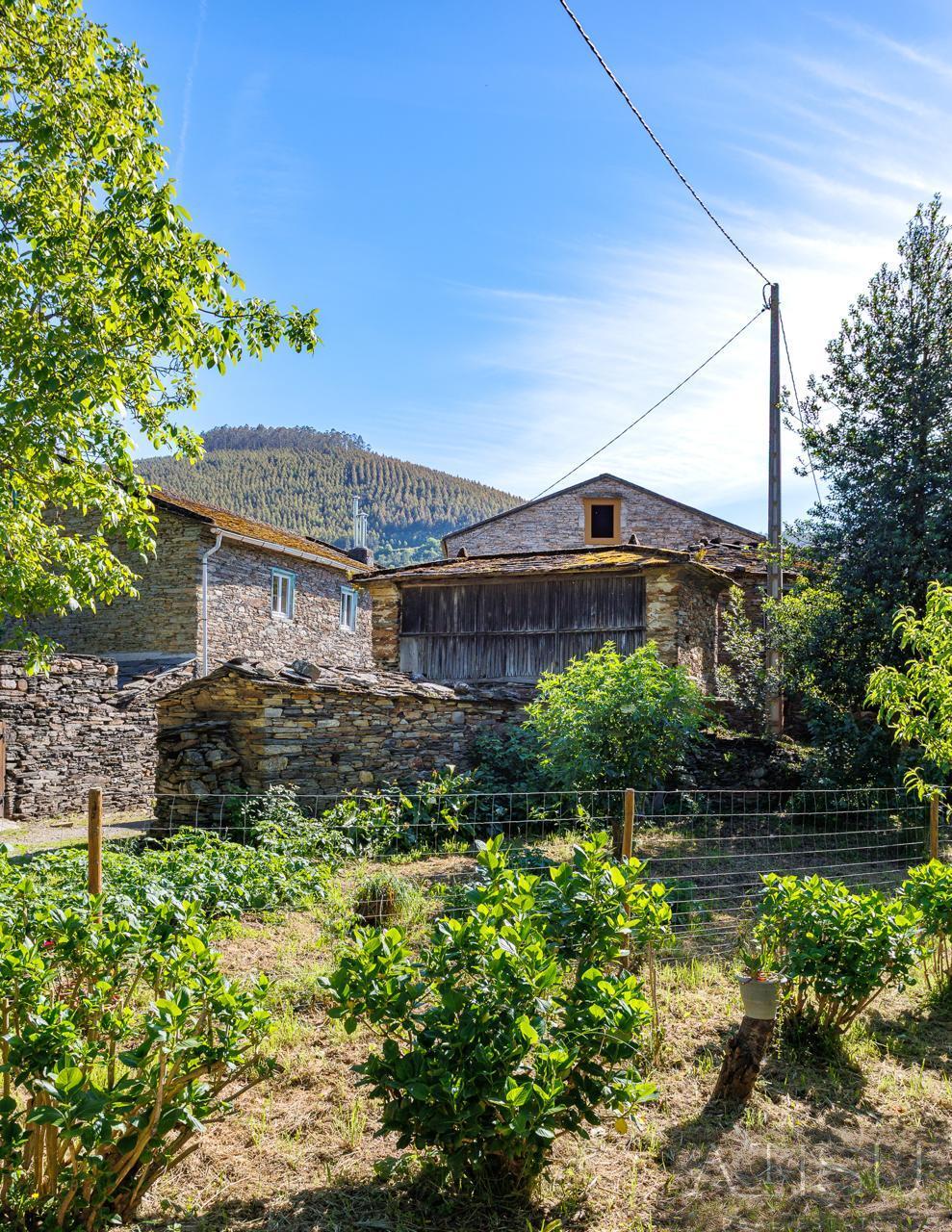 Venta de finca rústica en A Pontenova