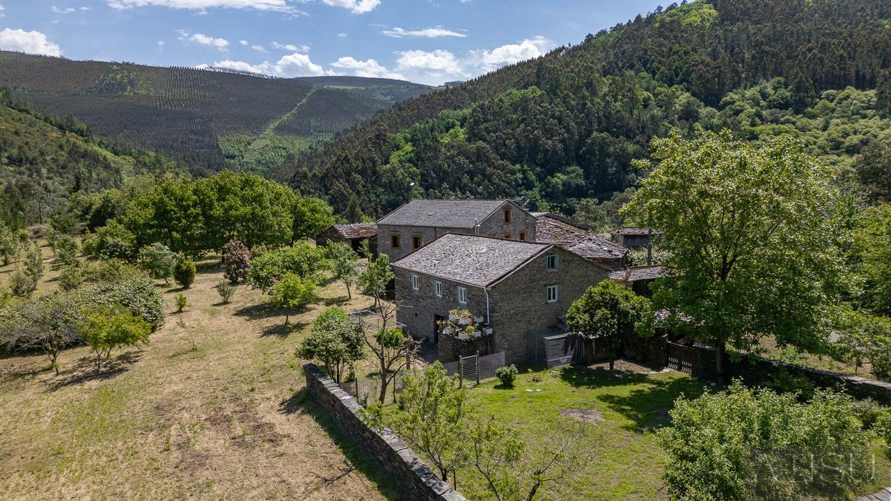 Venta de finca rústica en A Pontenova