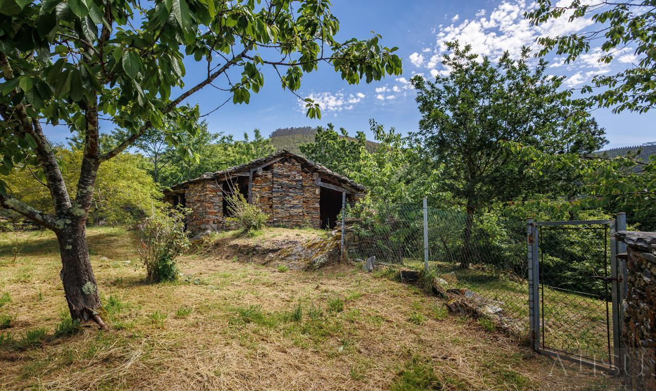 Venta de finca rústica en A Pontenova