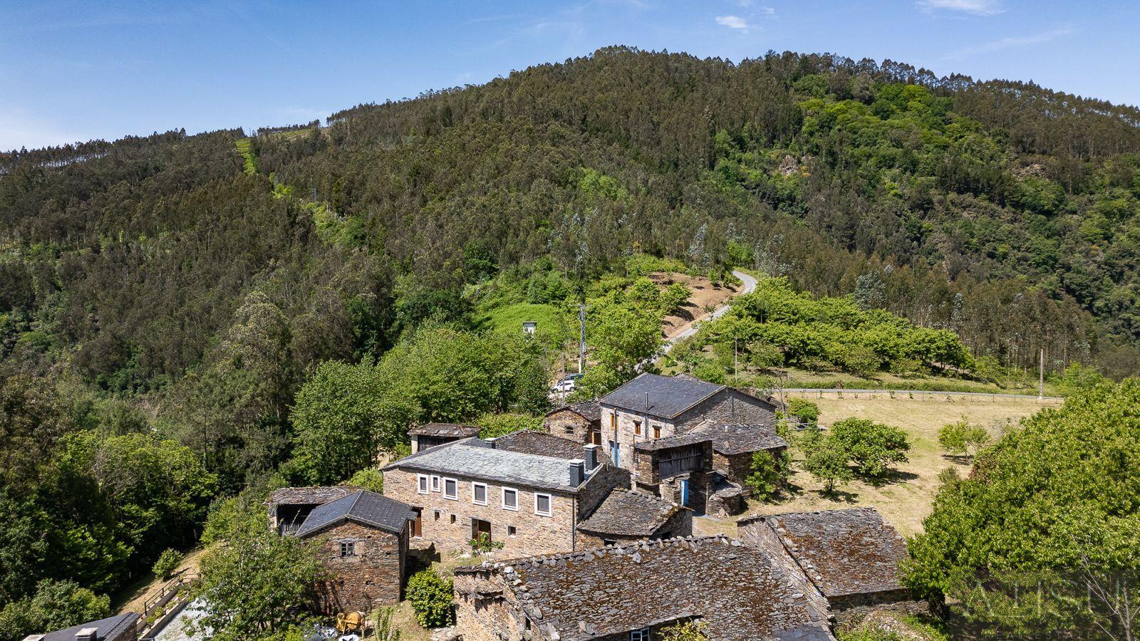 Venta de finca rústica en A Pontenova