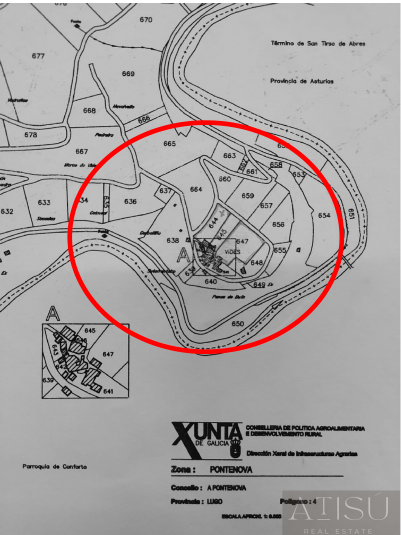 Plano
