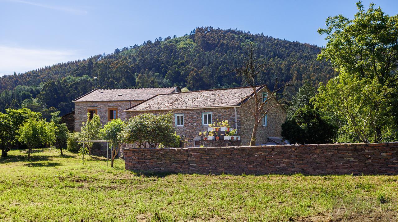 Venta de finca rústica en A Pontenova