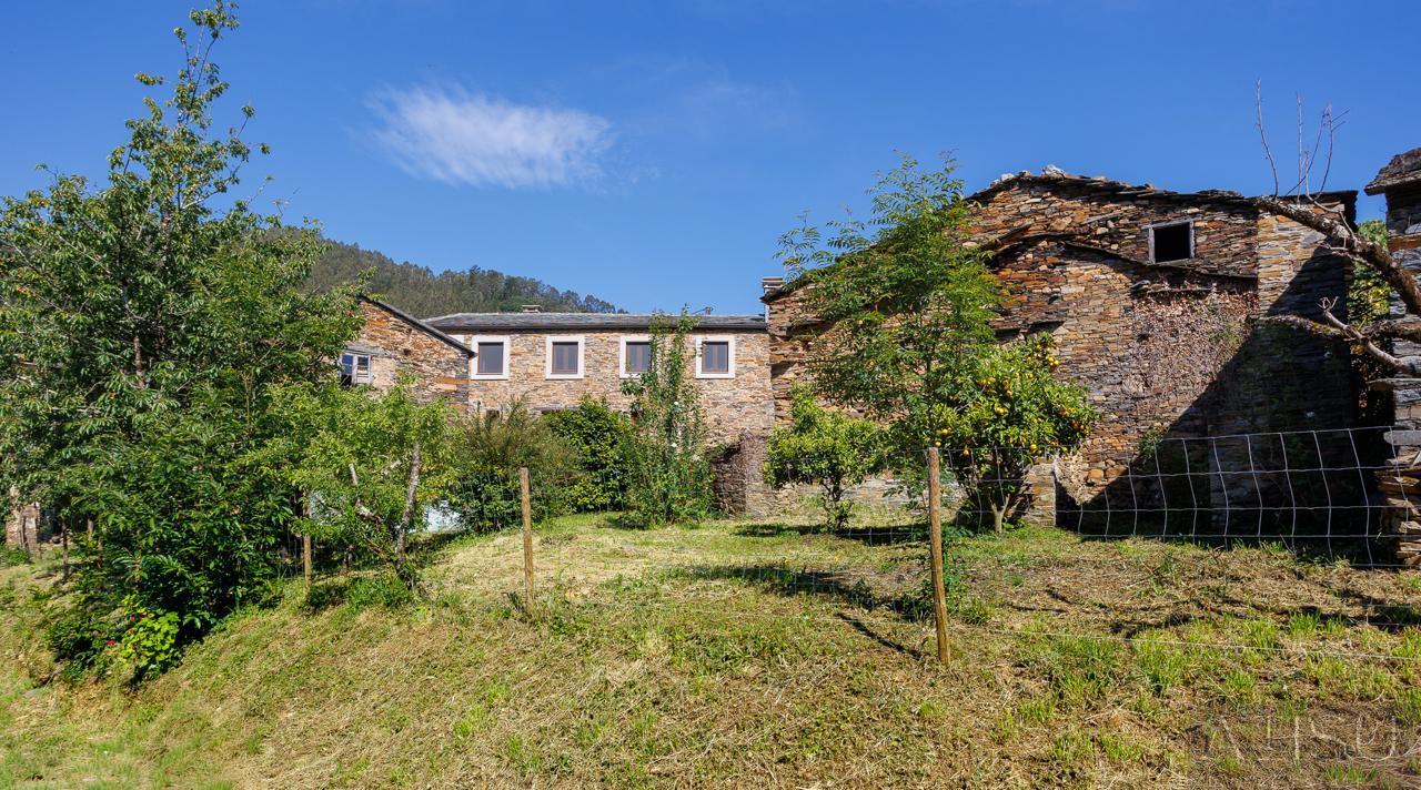 Venta de finca rústica en A Pontenova