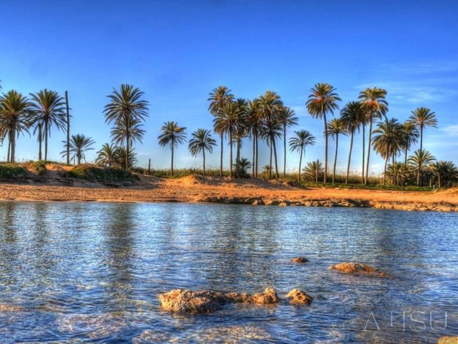 Venta de Ático en Torrevieja