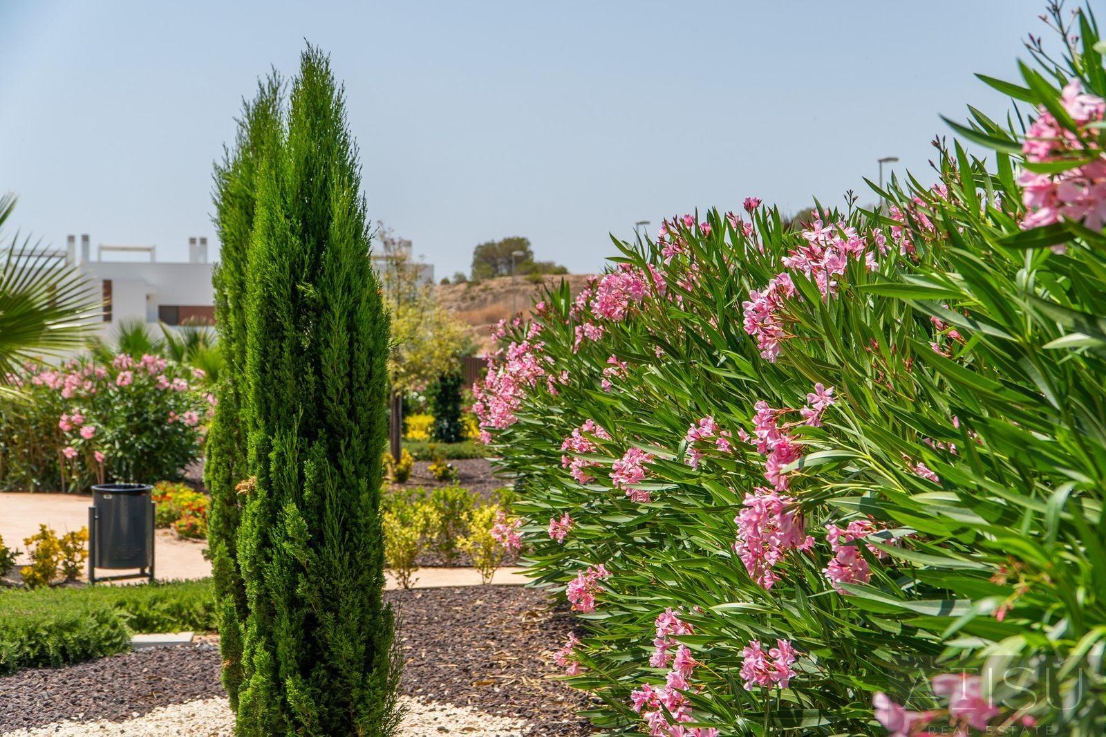 Venta de villa en Orihuela
