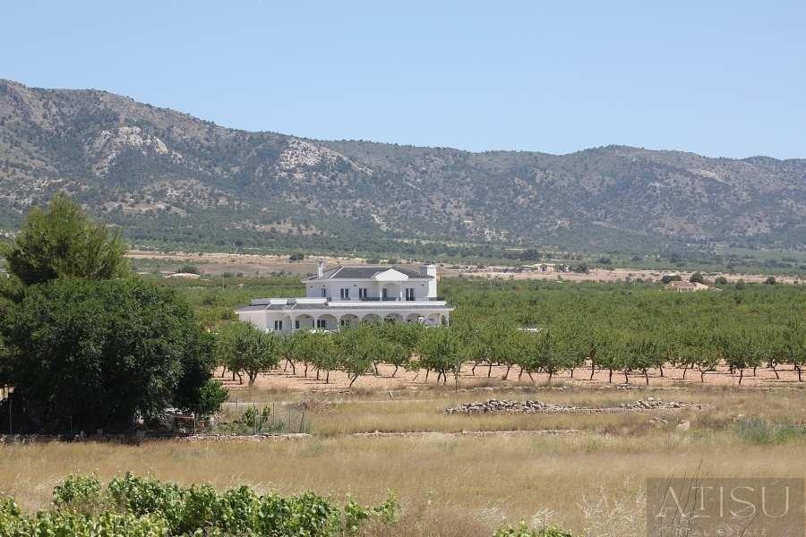 Venta de villa en Pinoso
