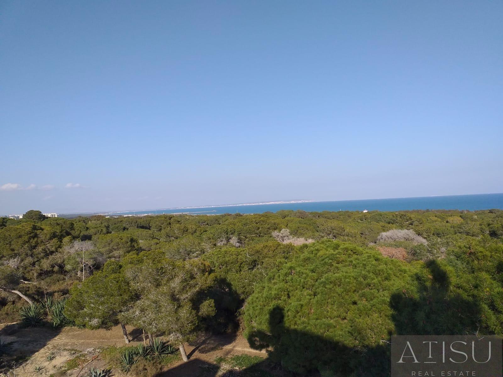 Venta de apartamento en Guardamar del segura