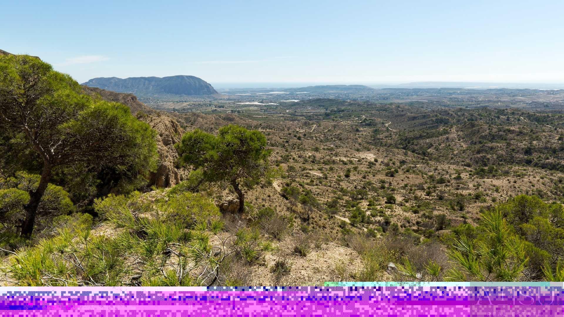 Venta de villa en Aspe