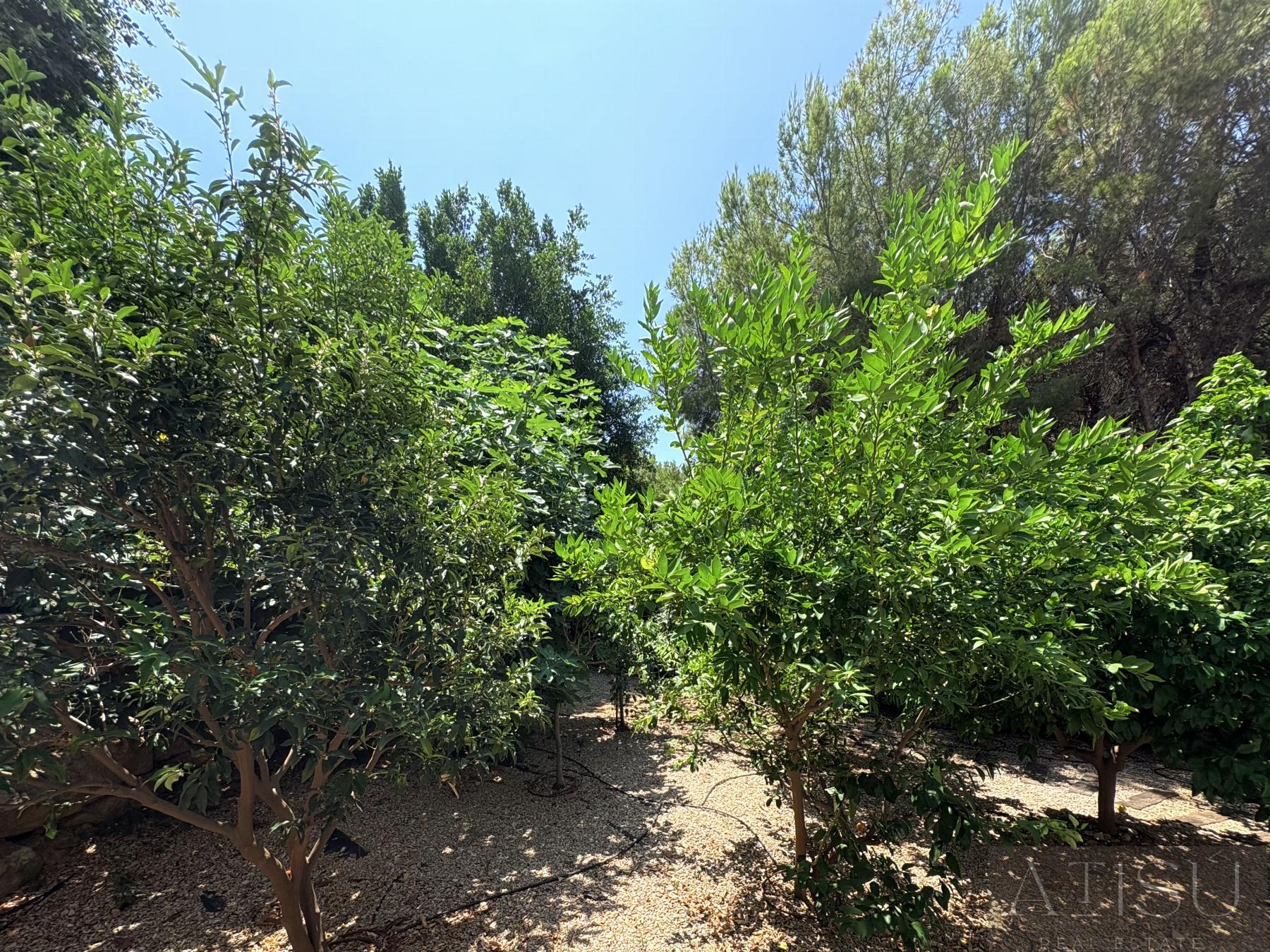 Venta de chalet en Altea