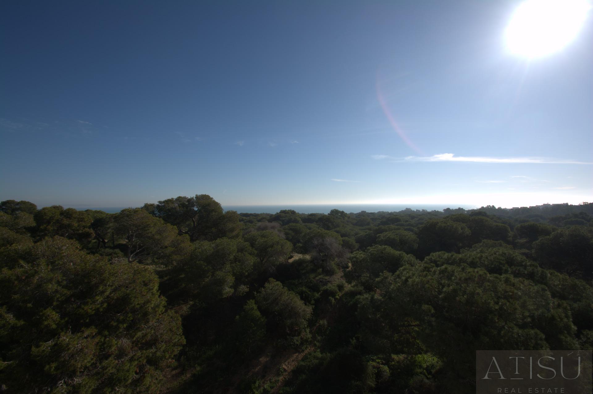 Venta de  en Guardamar del Segura