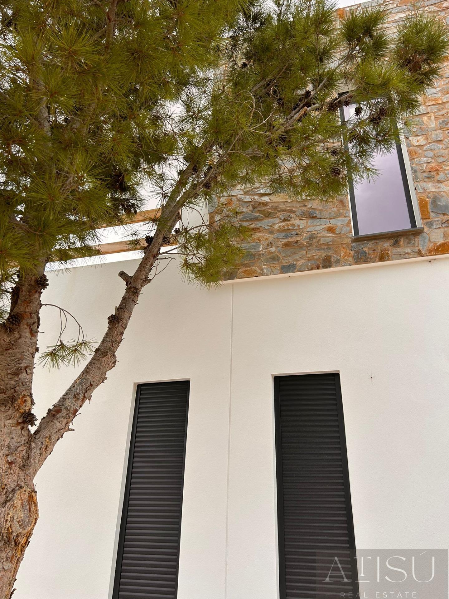 Venta de villa en Pinoso