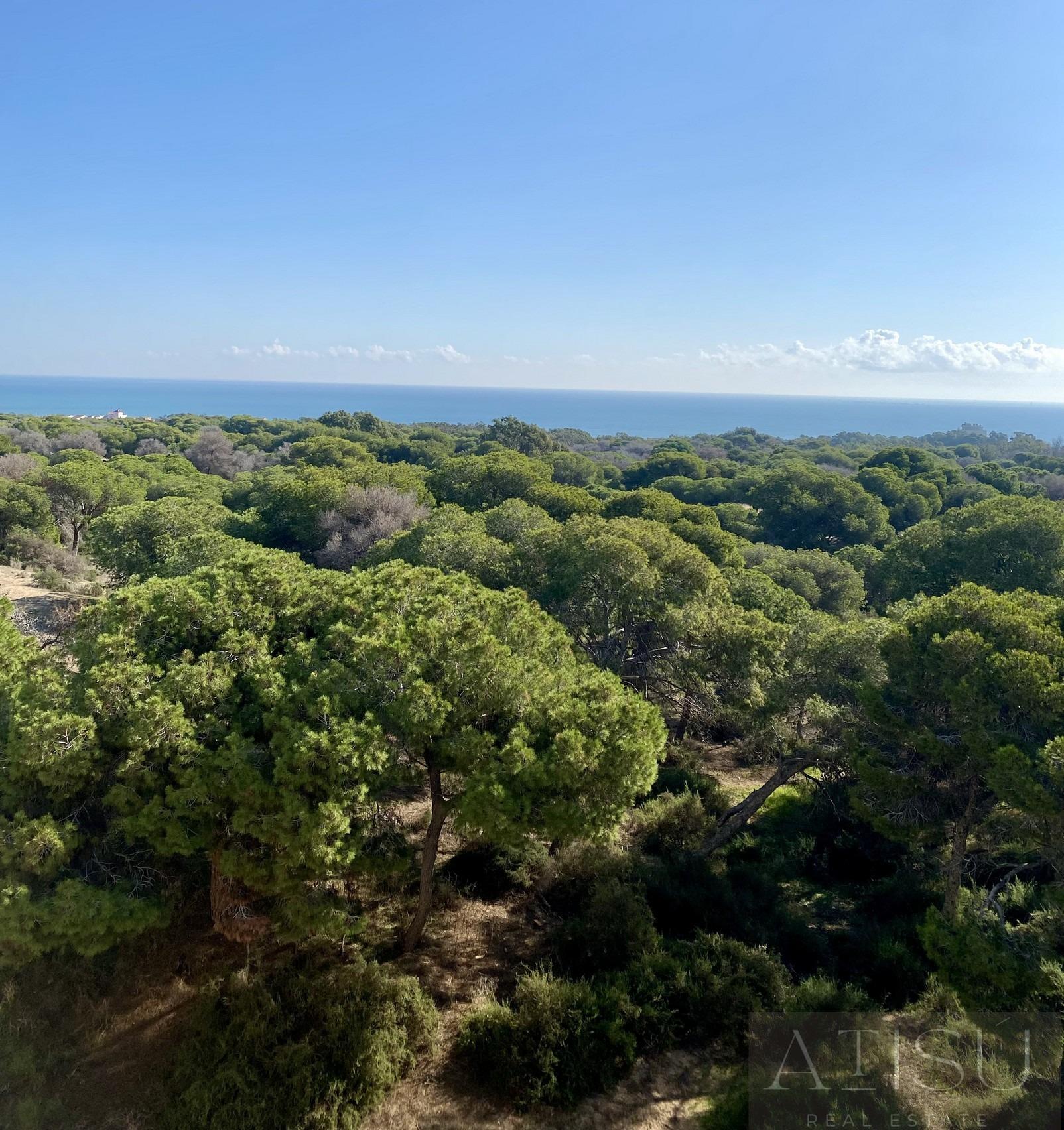 Venta de apartamento en Guardamar del Segura