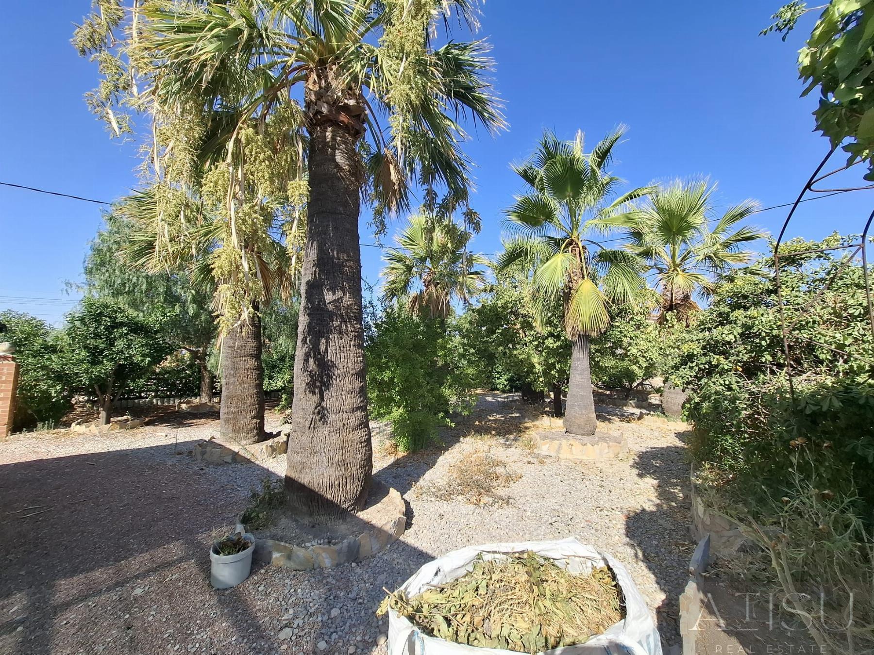 Venta de chalet en Busot