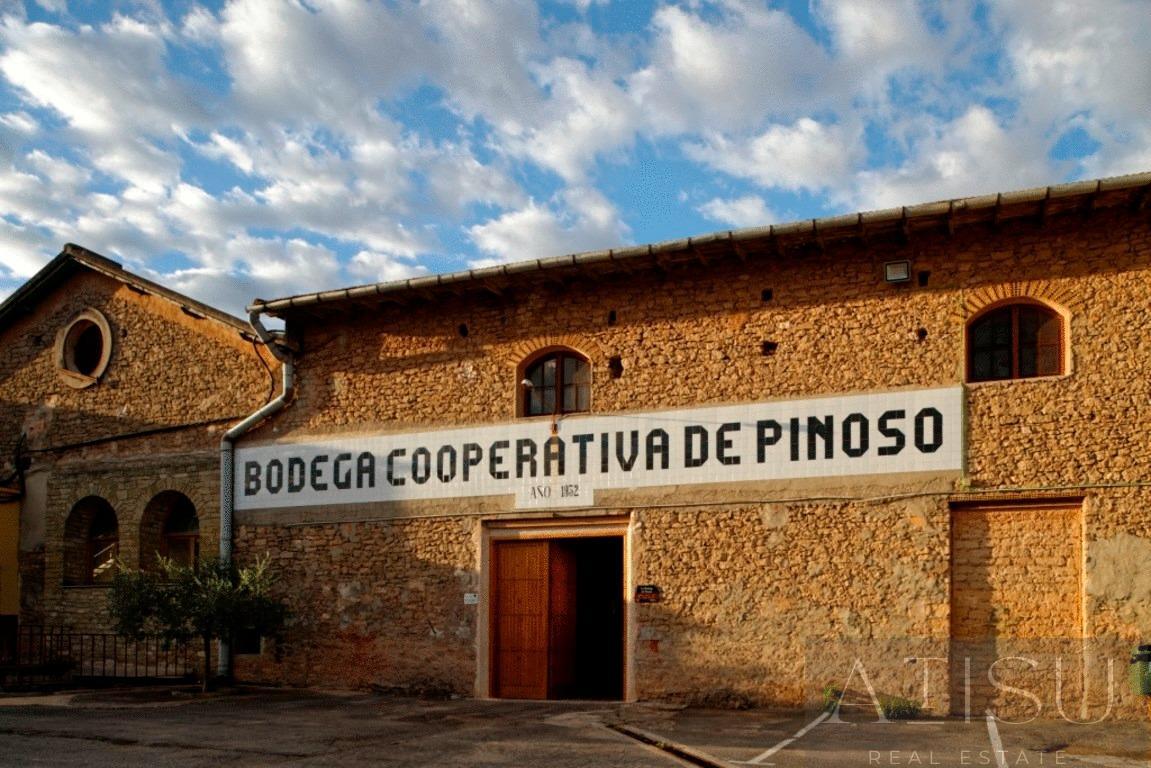 Vente de villa dans Pinoso