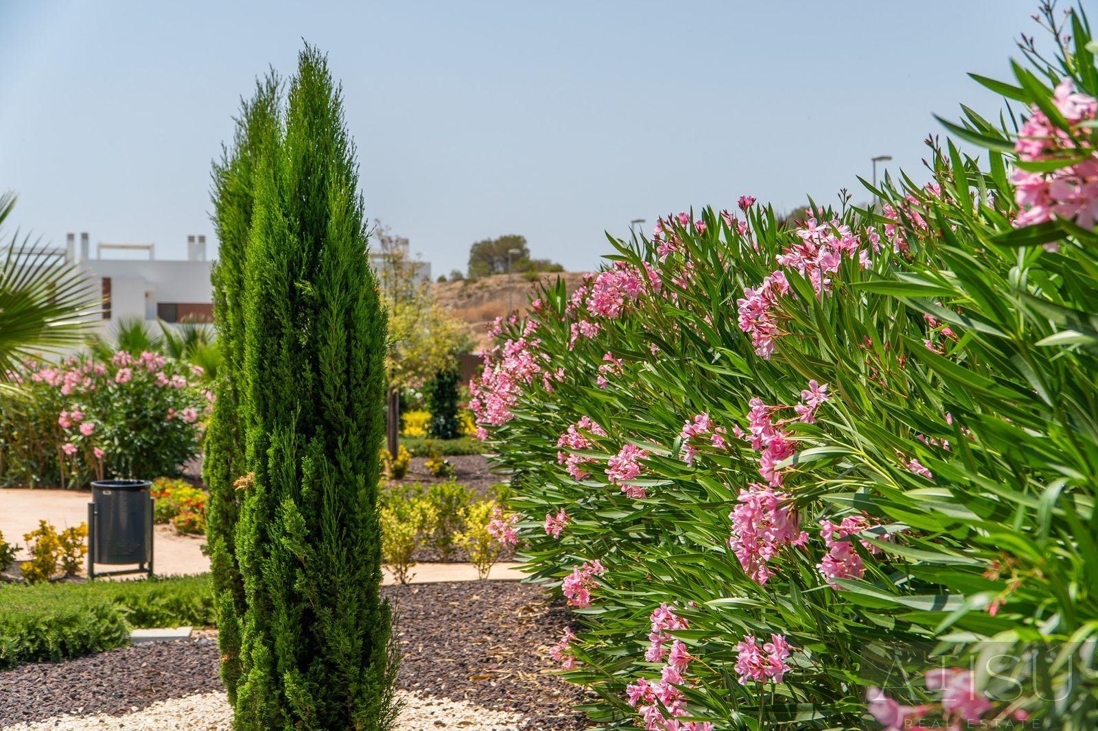 Venta de  en Orihuela