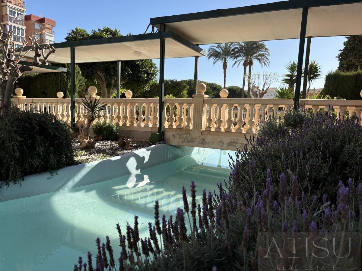 For rent of apartment in Alicante