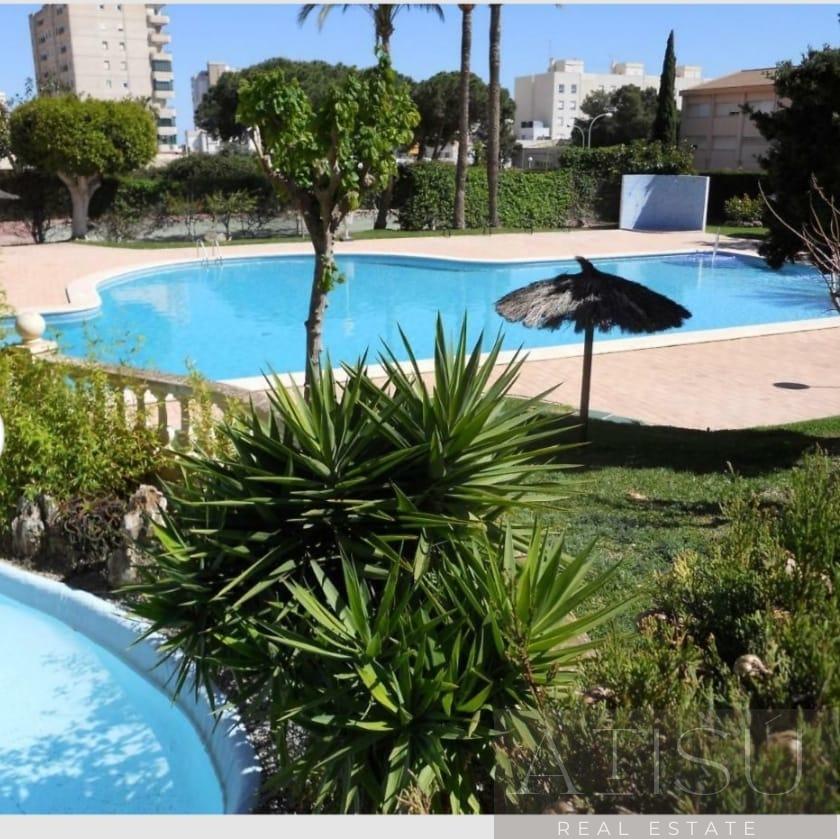 For rent of apartment in Alicante