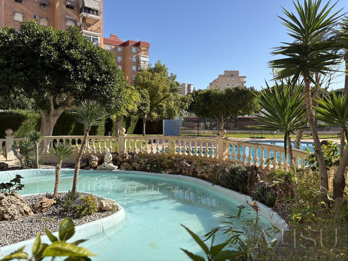 For rent of apartment in Alicante
