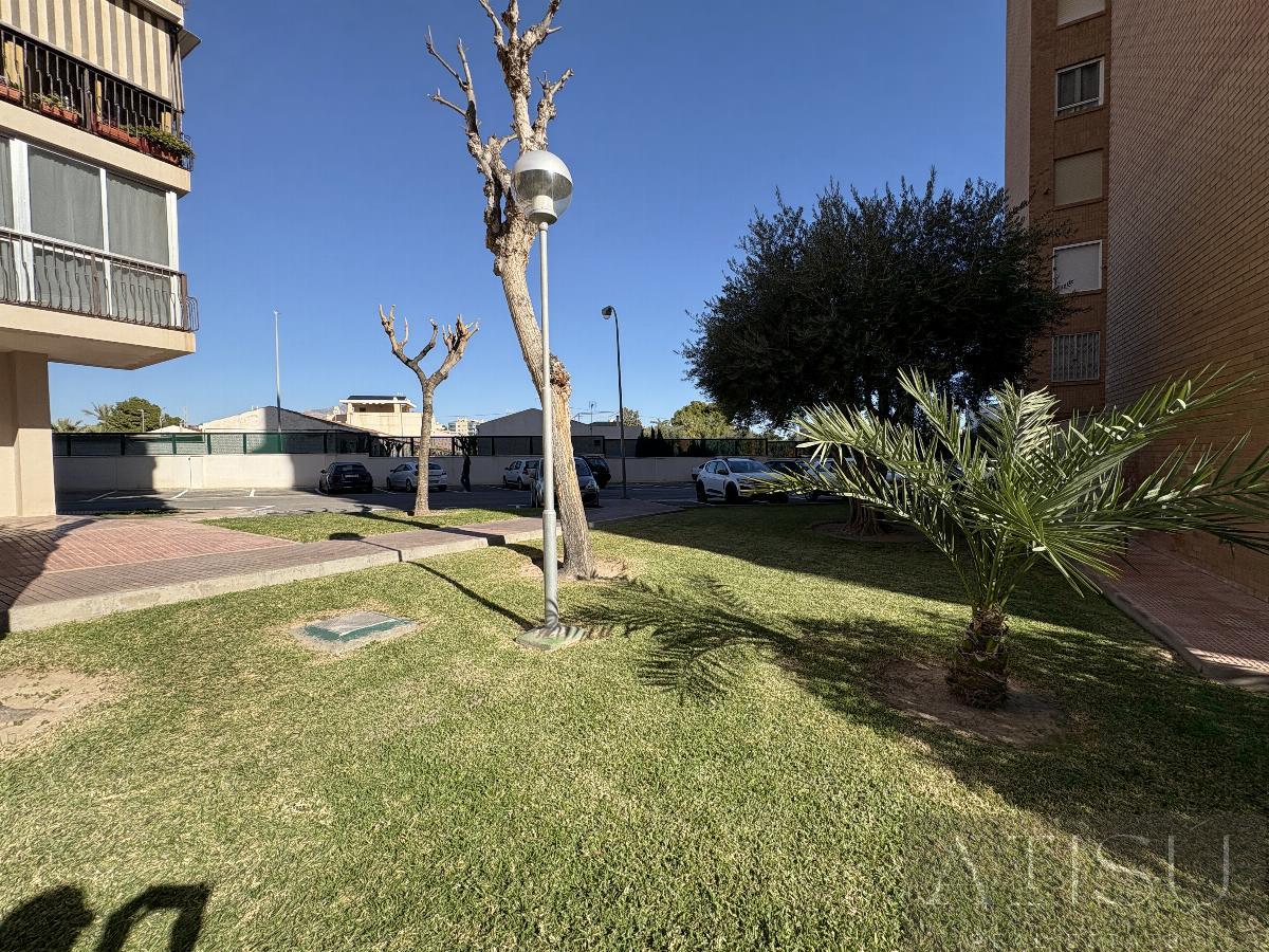 For rent of apartment in Alicante