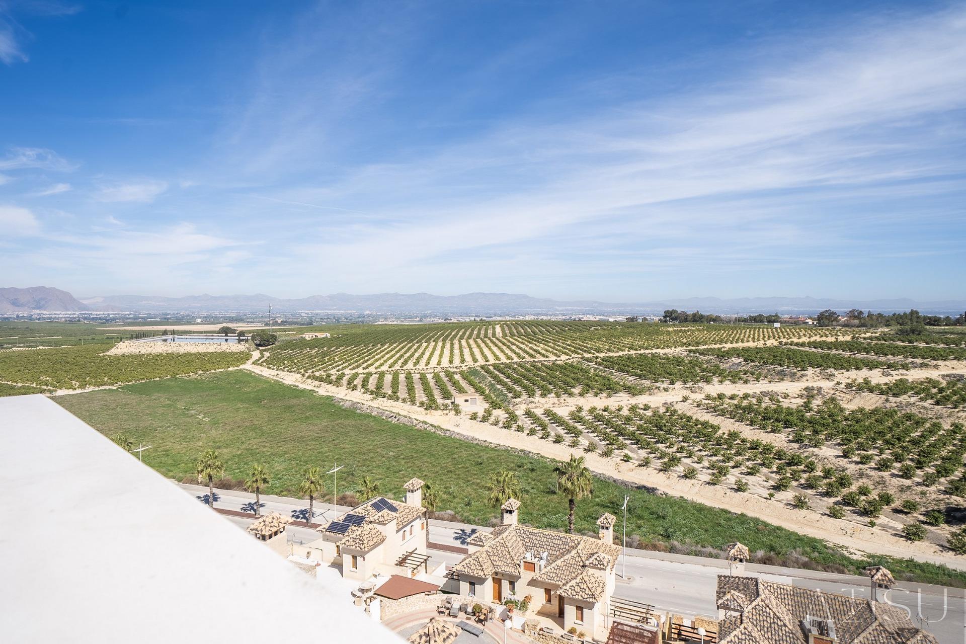 Venta de villa en Algorfa