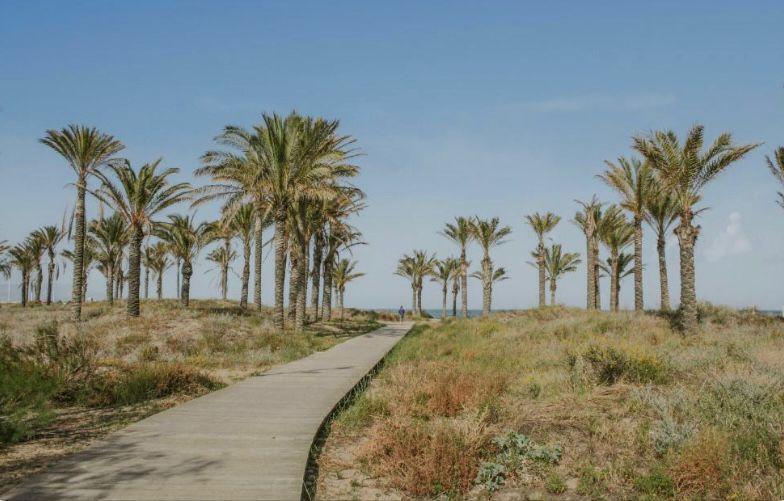 For sale of villa in Castellón