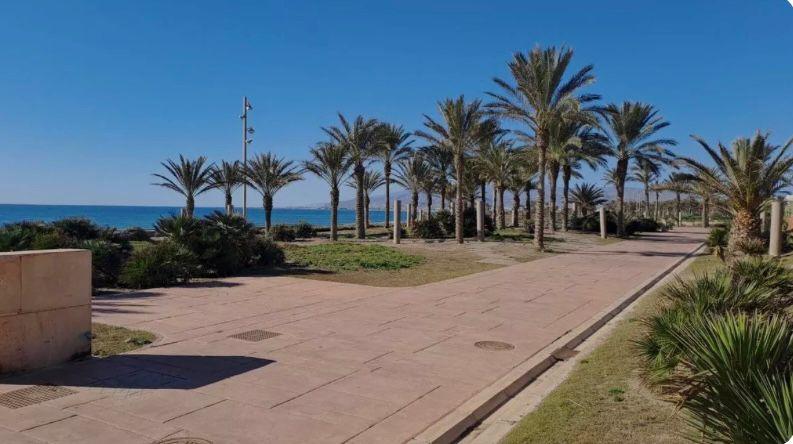 For sale of land in Castellón