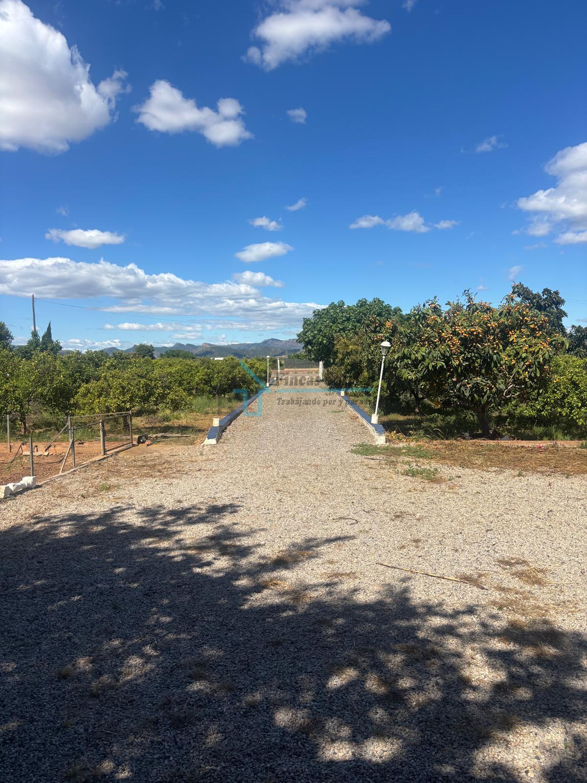 Venta de finca de recreo en Sagunto Sagunt