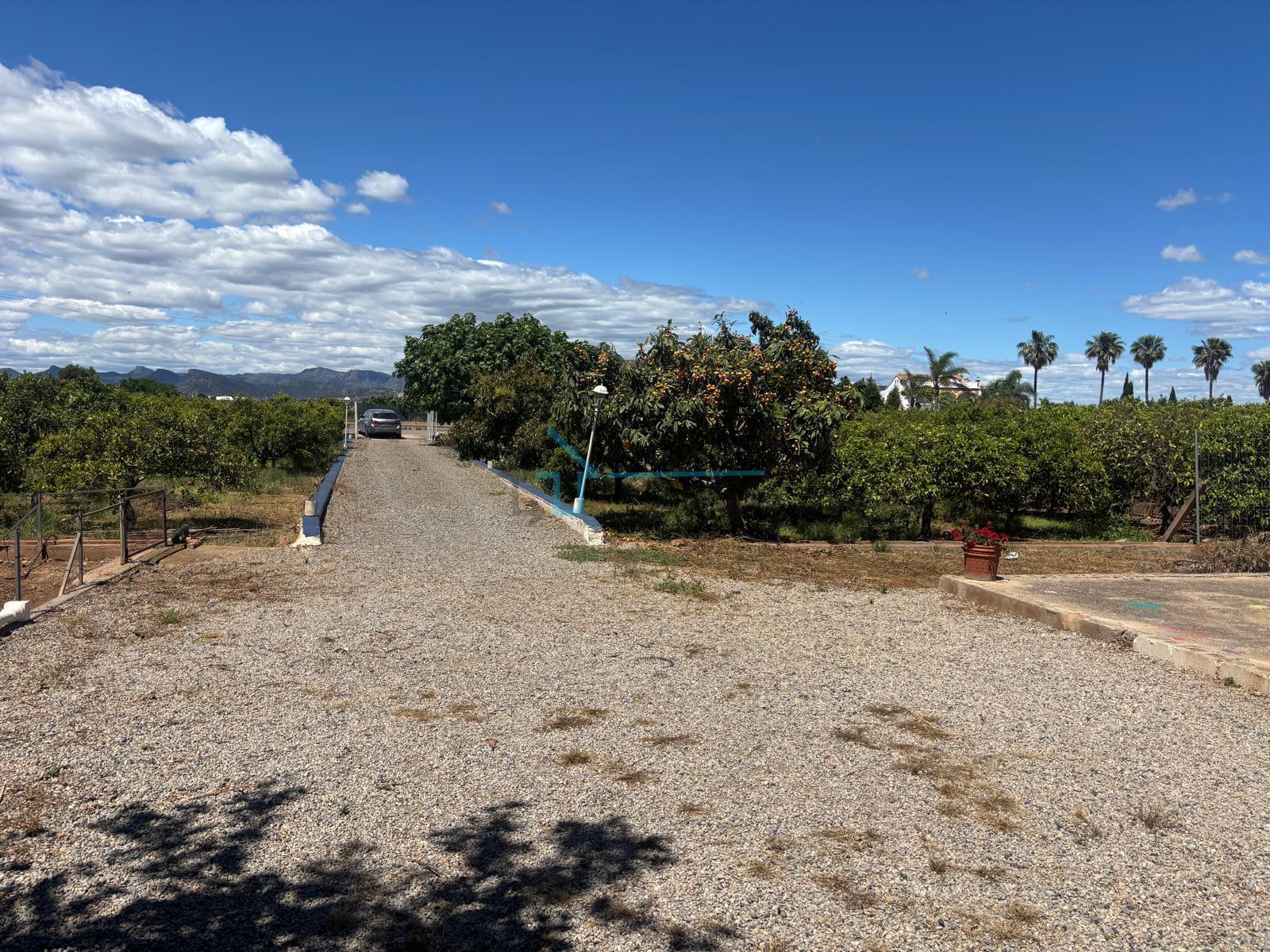 Venta de finca de recreo en Sagunto Sagunt