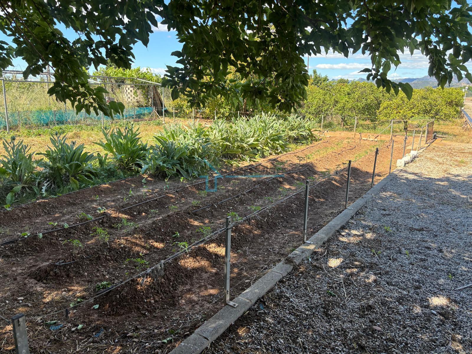 Venta de finca de recreo en Sagunto Sagunt