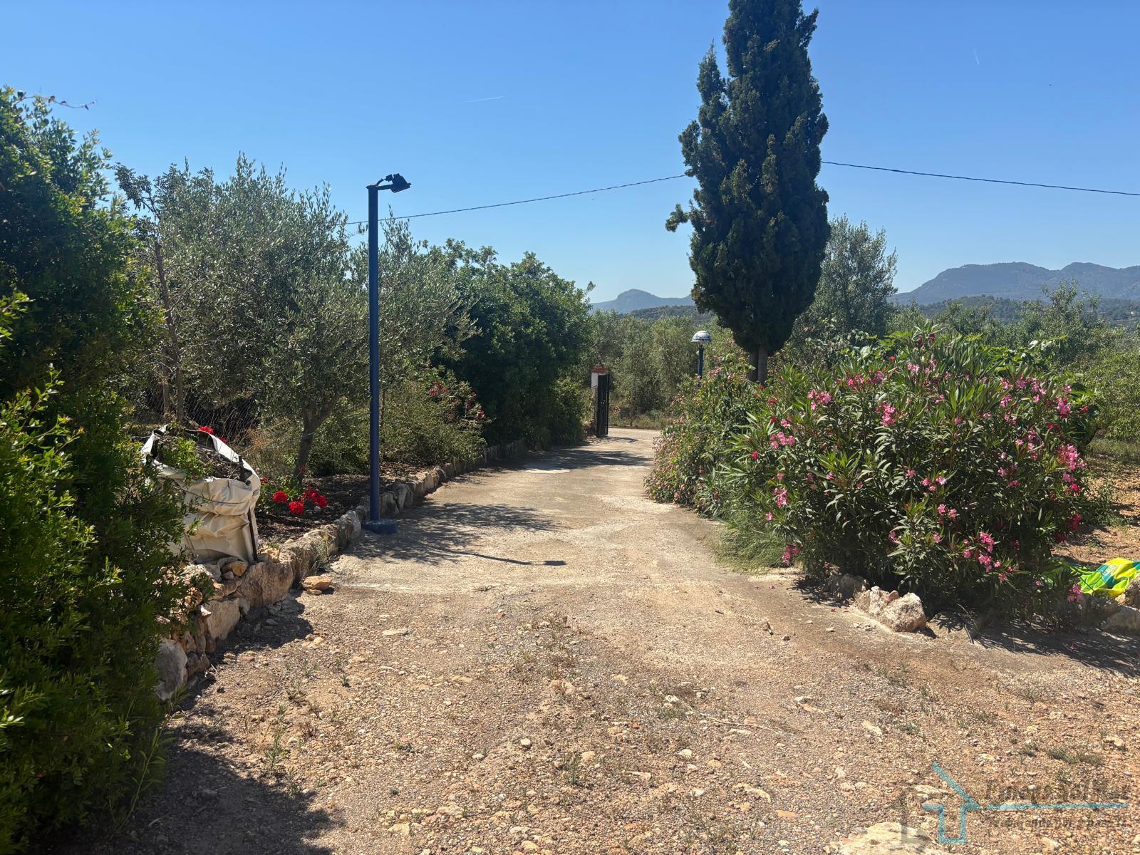 Venta de casa en Sagunto Sagunt