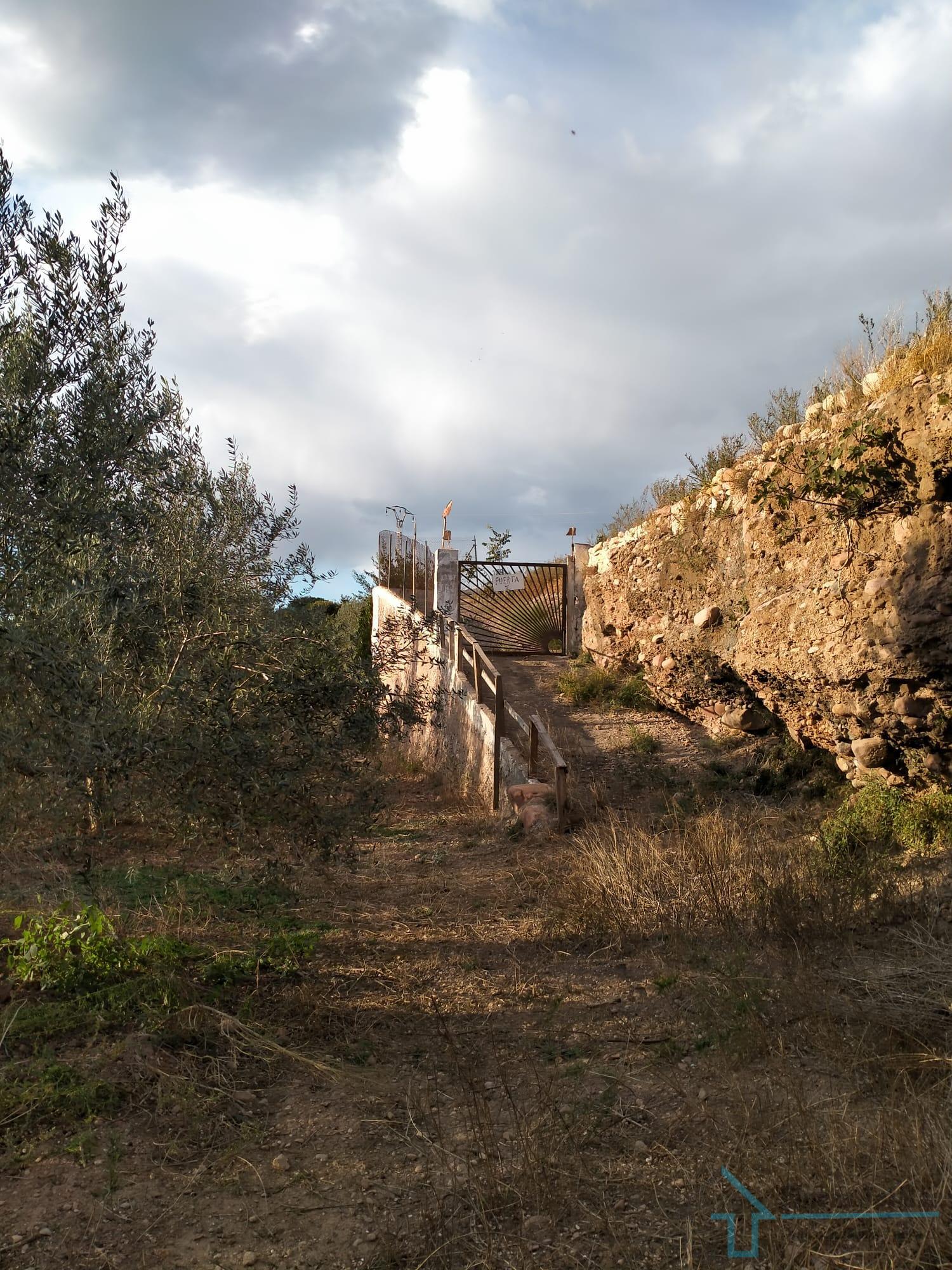 Venta de terreno en Petrés