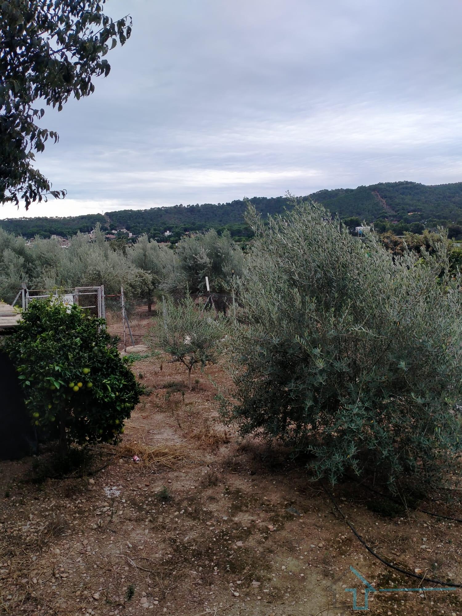 Venta de terreno en Petrés