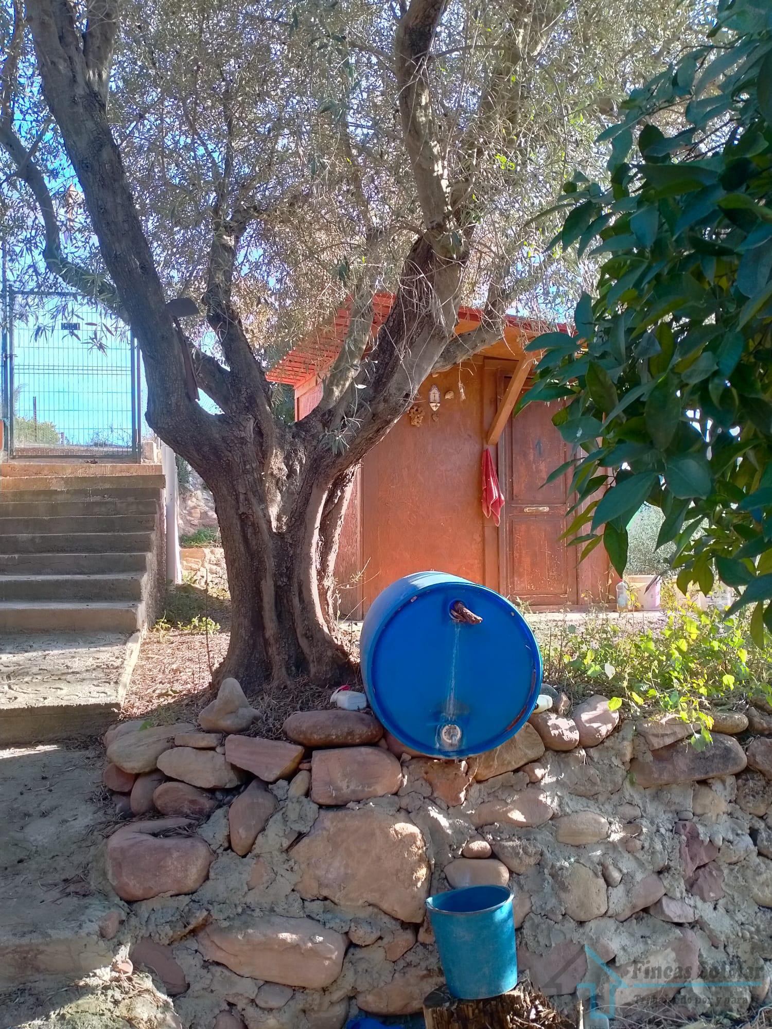 Venta de terreno en Petrés