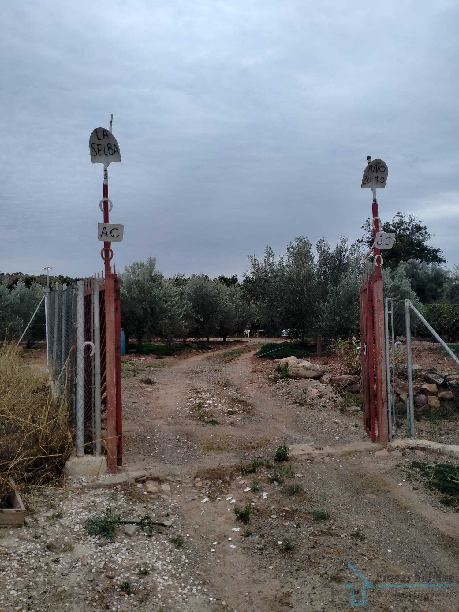Venta de terreno en Petrés