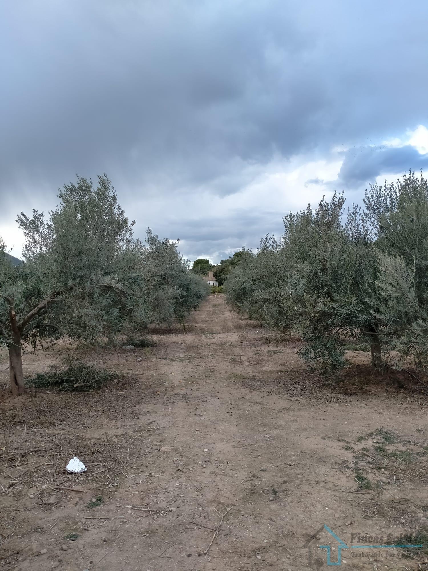 Venta de terreno en Petrés