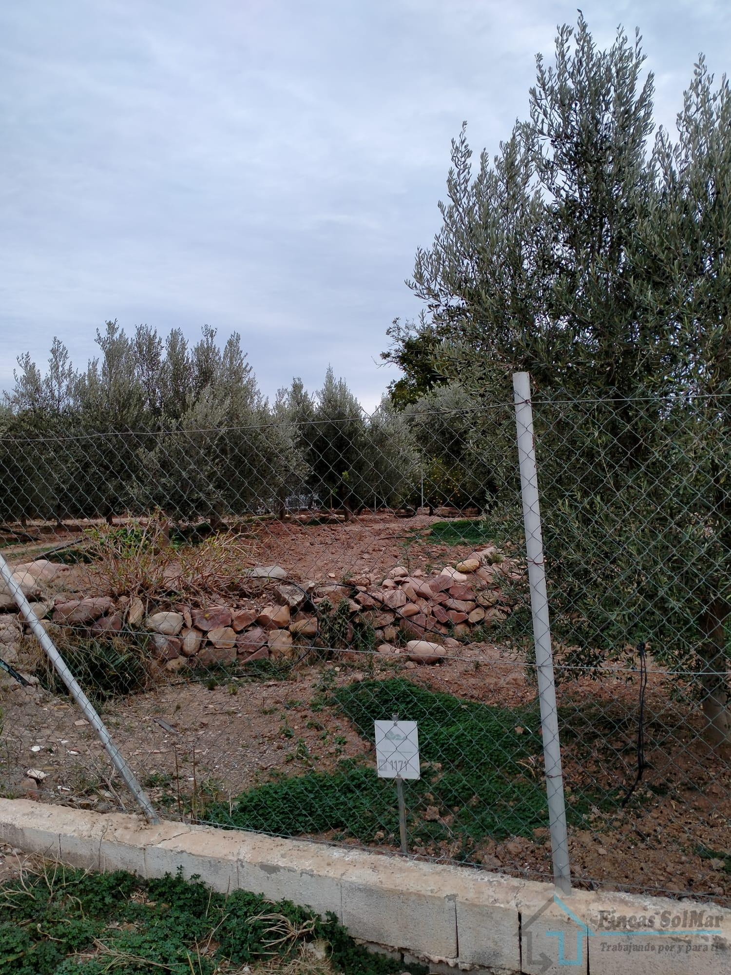 Venta de terreno en Petrés