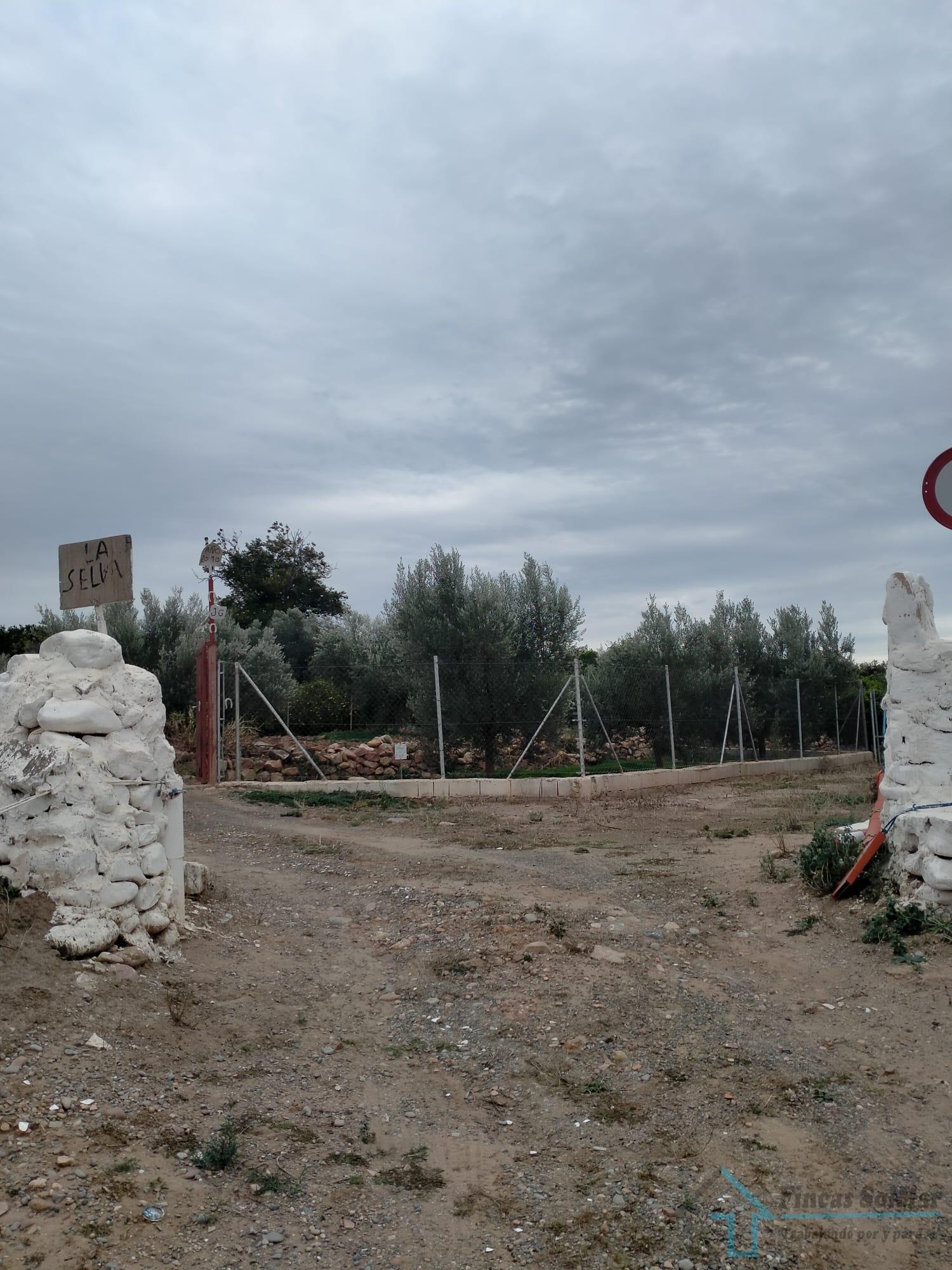 Venta de terreno en Petrés