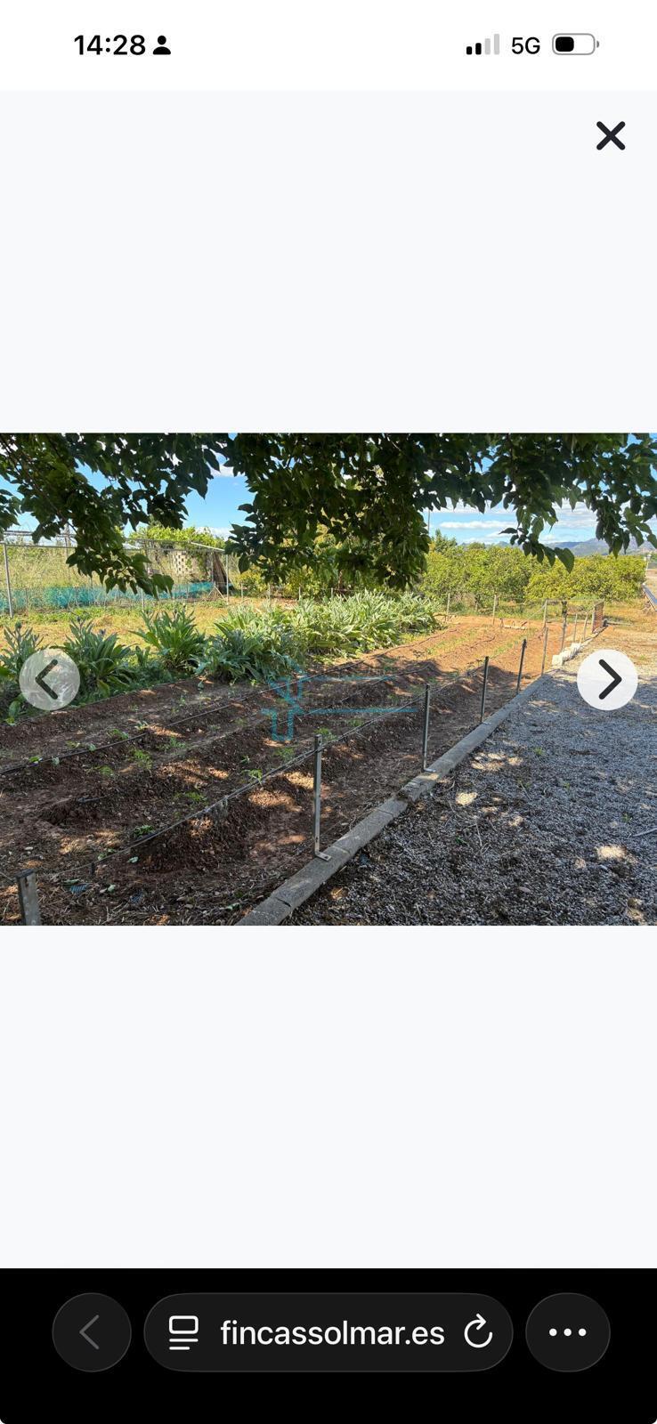 Venta de terreno en Sagunto Sagunt