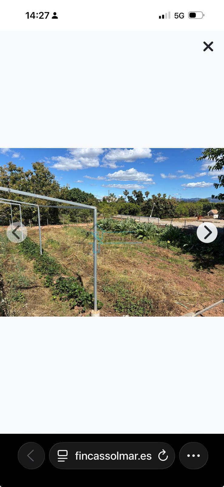 Venta de terreno en Sagunto Sagunt