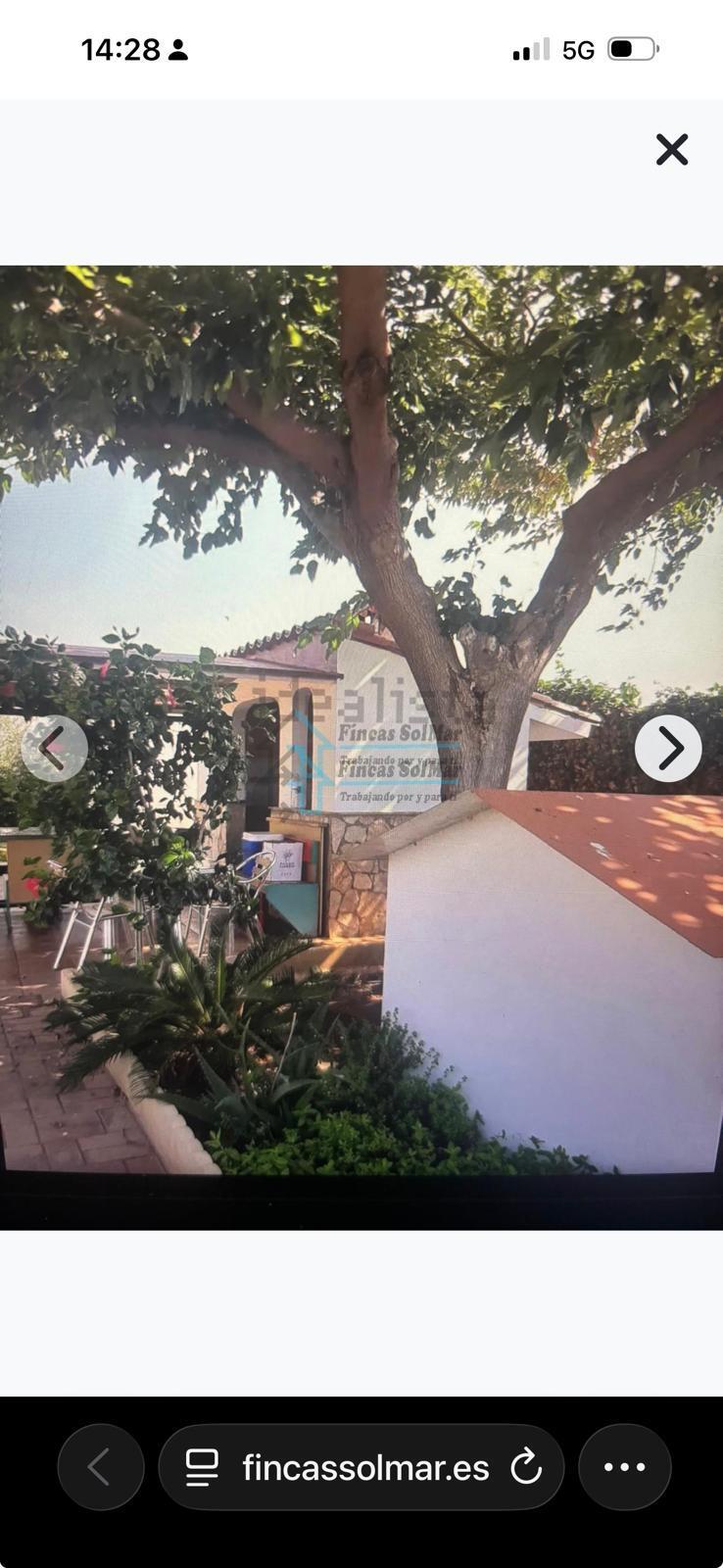 Venta de terreno en Sagunto Sagunt