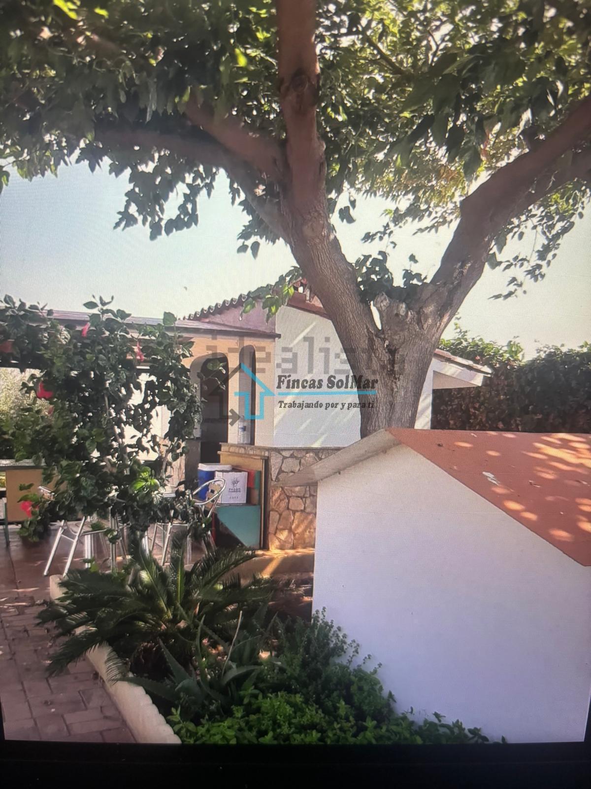 Venta de finca de recreo en Sagunto Sagunt