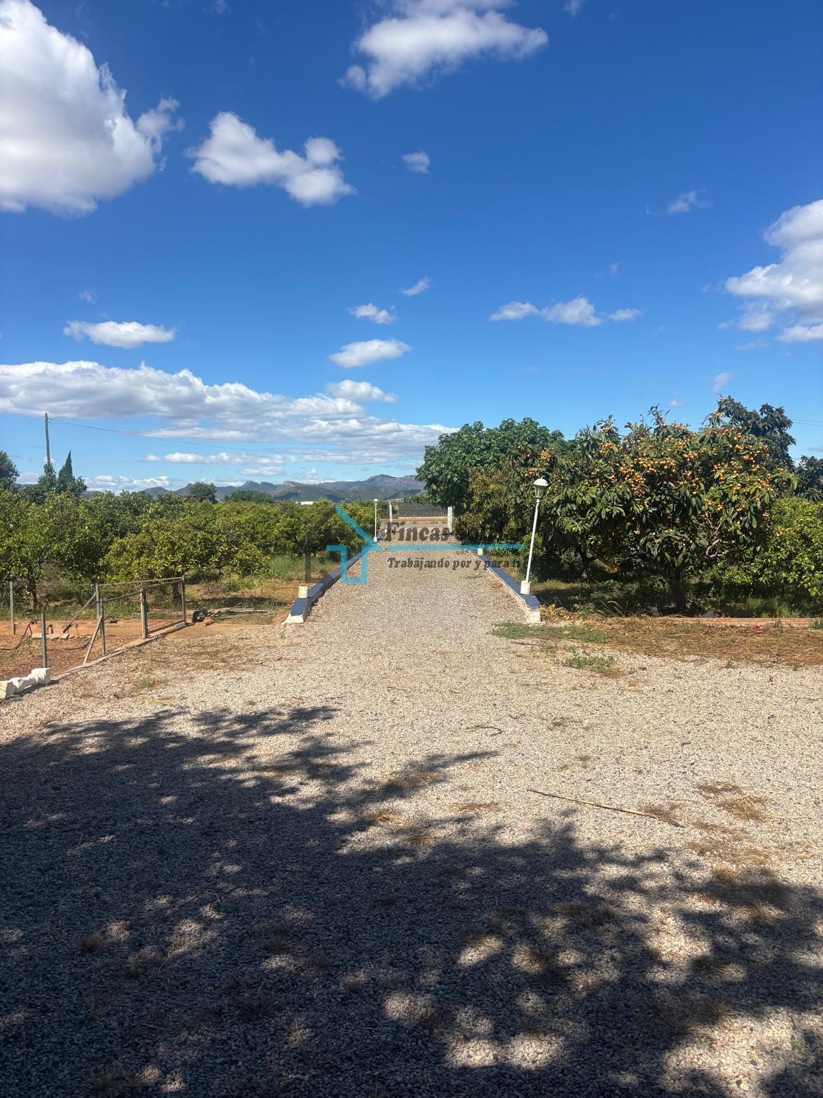 Venta de finca de recreo en Sagunto Sagunt