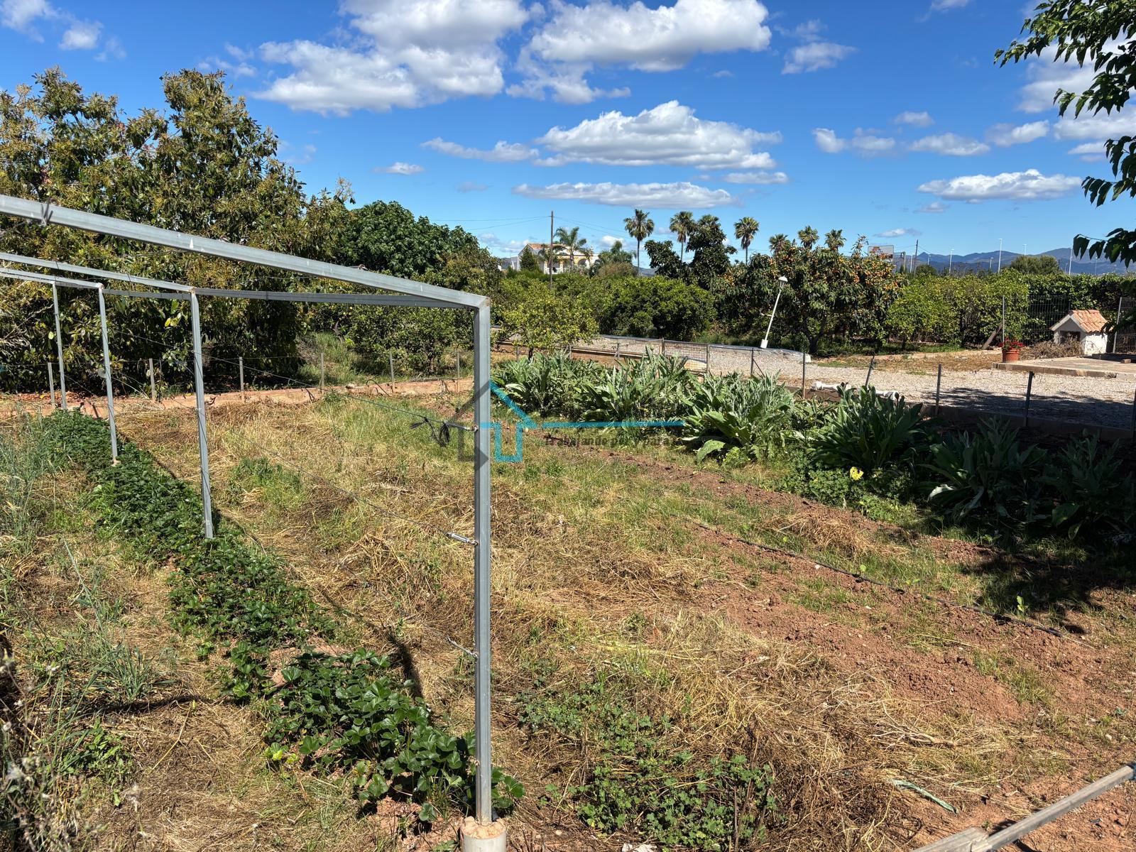 Venta de finca de recreo en Sagunto Sagunt