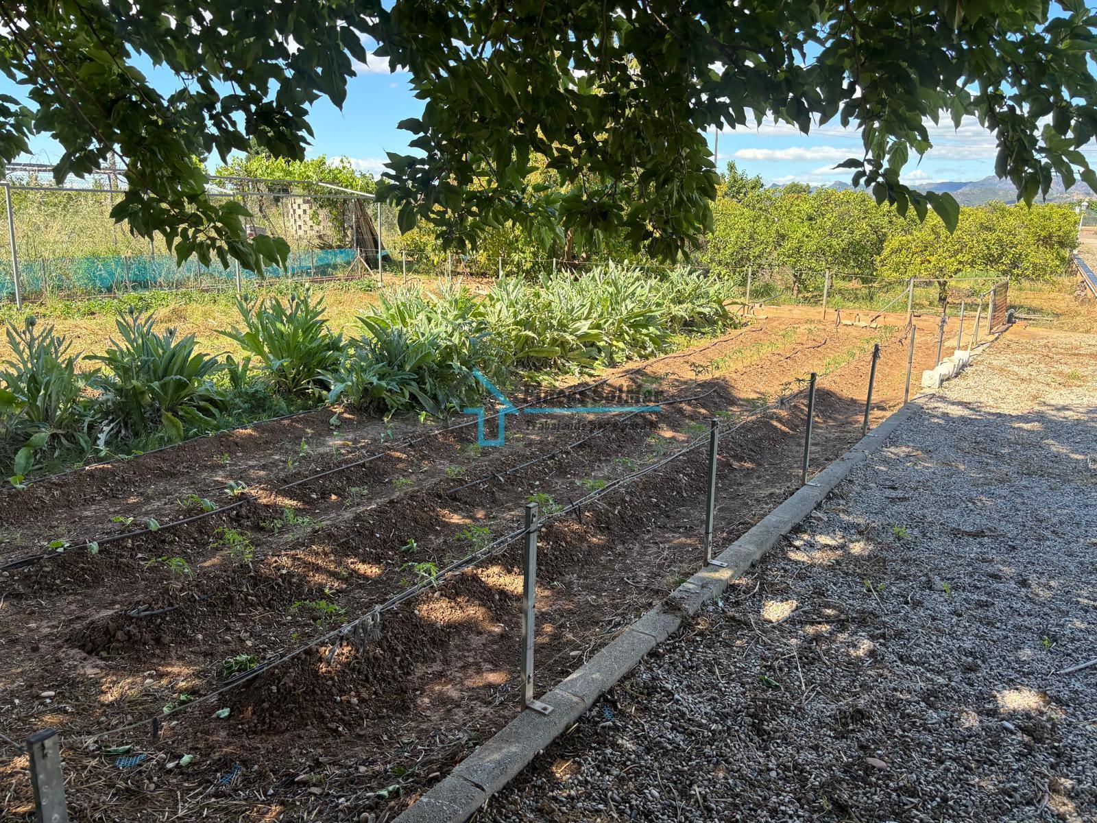 Venta de finca de recreo en Sagunto Sagunt